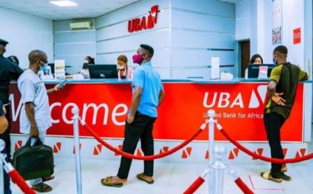 UBA : les entreprises et les dérivés sur les devises ont dopé le bénéfice net du groupe, à fin septembre 2023