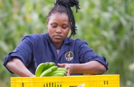 Kenya : Twiga Foods sécurise de nouveaux investissements pour accélérer sa transformation et sa croissance