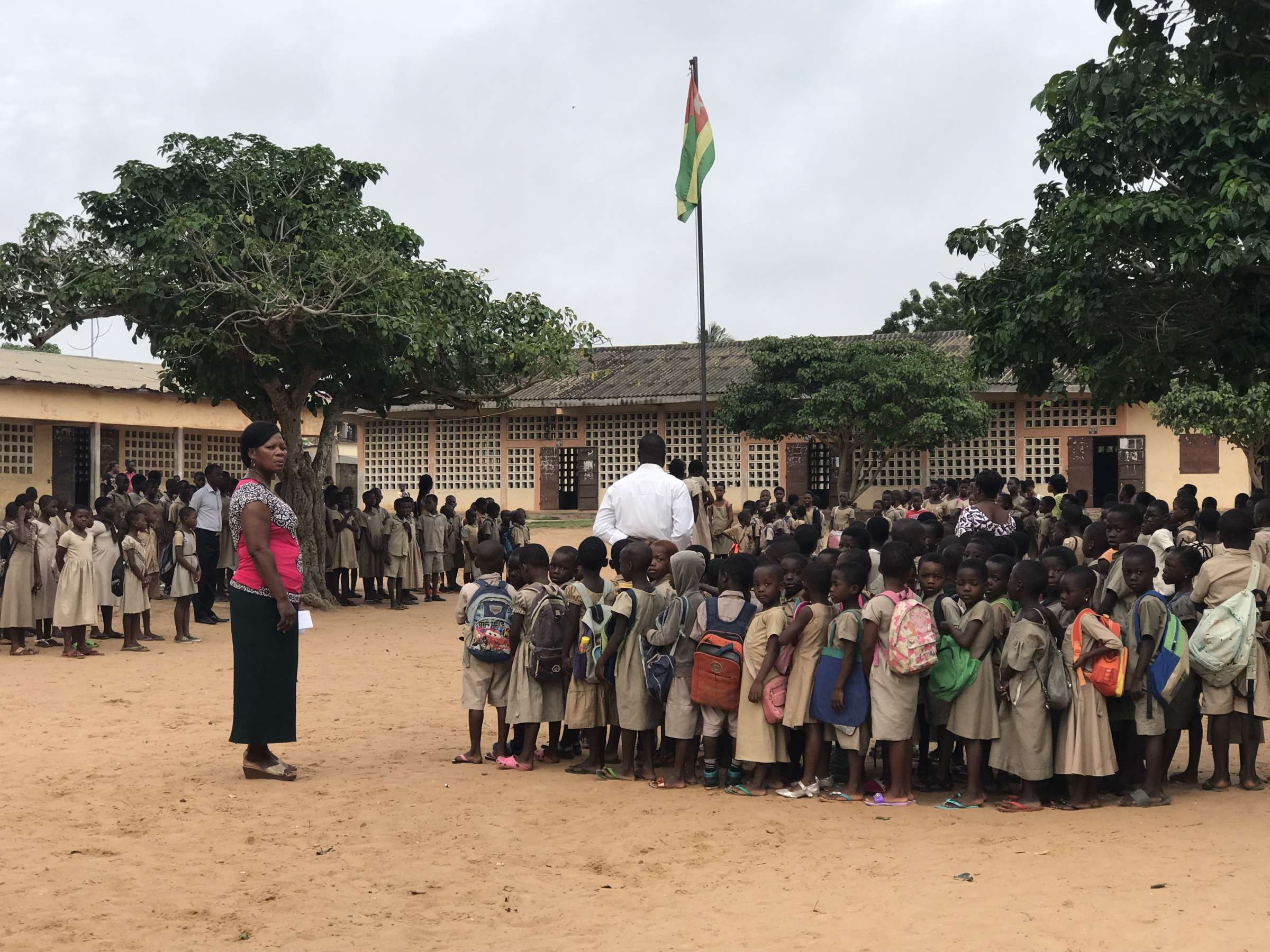 Togo : Le gouvernement encadre l’abattage des arbres dans les écoles -