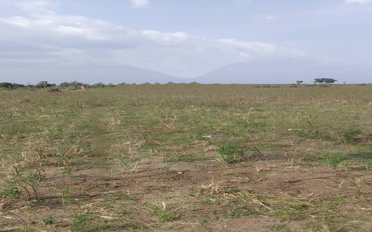 Togo- Fonciers à Agbélouvé et Gamé-Séva : Violation des arrêts de justice, deux personnes mises en cause, indignations et appel -
